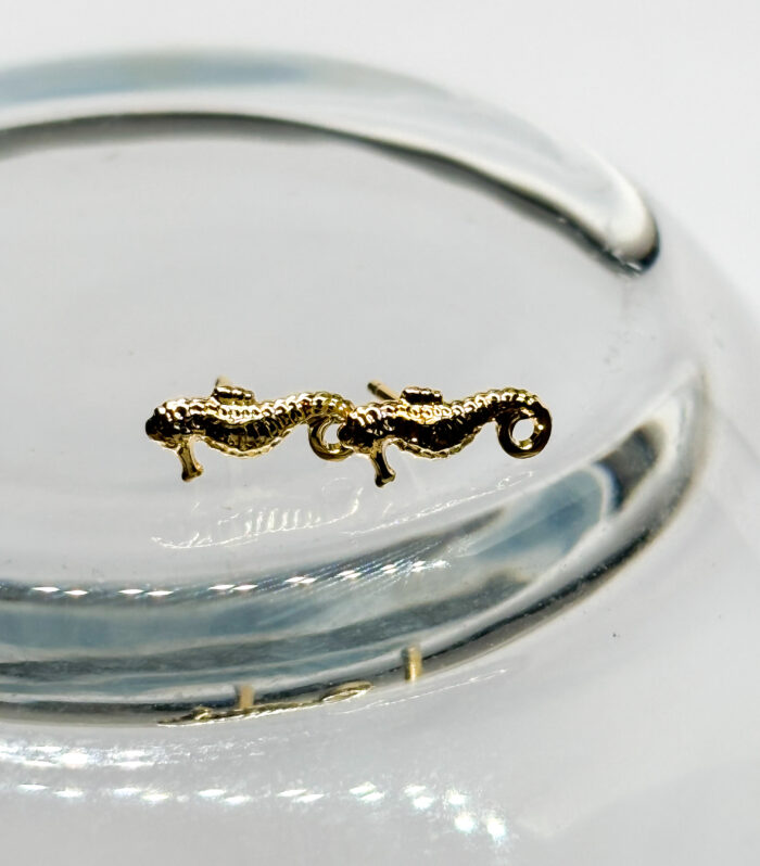 Seahorse earrings