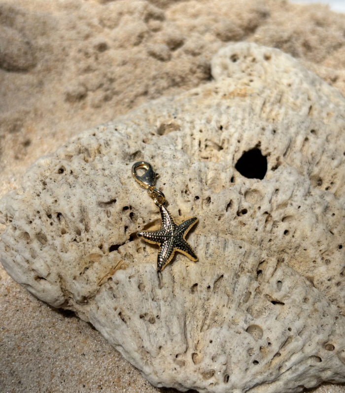 Mini Star Pendant For Bikinis and Chains
