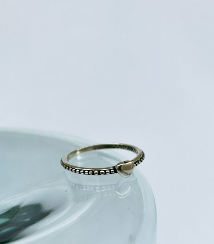 Minimalist daily ring